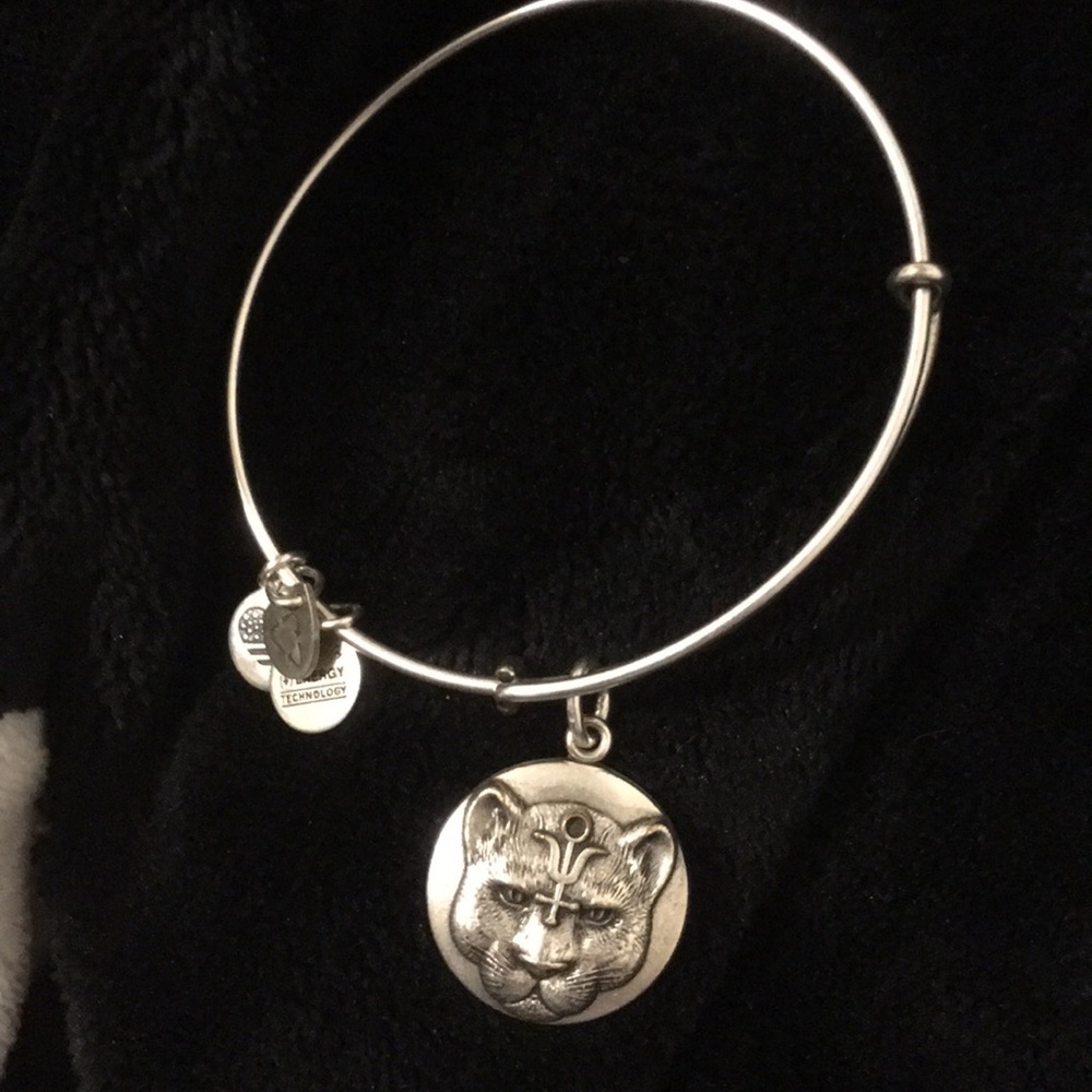 Alex &Ani Wild Heart Bracelet View 3